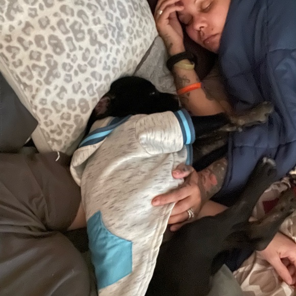 MEET YOUR RESCUE MAMA! โญ๏ธ๐๐๐๐ถ๐ด - Picture 16 of 17